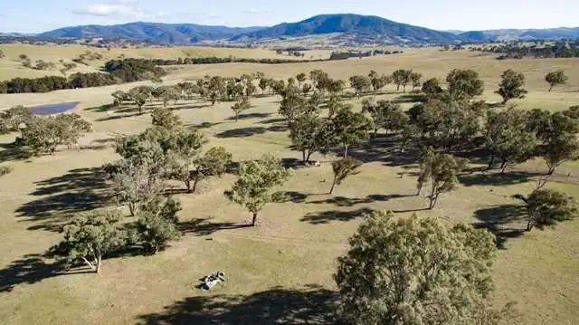 Third view of Homely rural property listing, 1887 Hazelgrove Road, Tarana NSW 2787