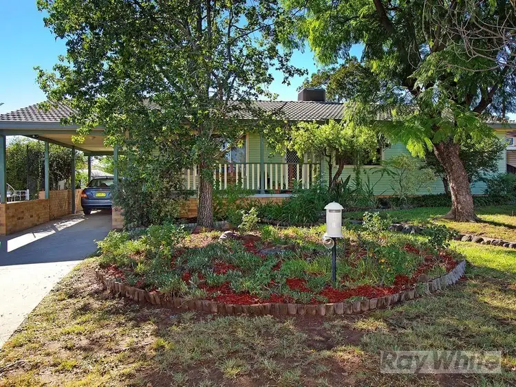 Main view of Homely house listing, 13 Wongala Street, Tamworth NSW 2340