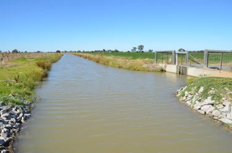 Fifth view of Homely rural property listing, 670 Willawa Lane, Finley NSW 2713