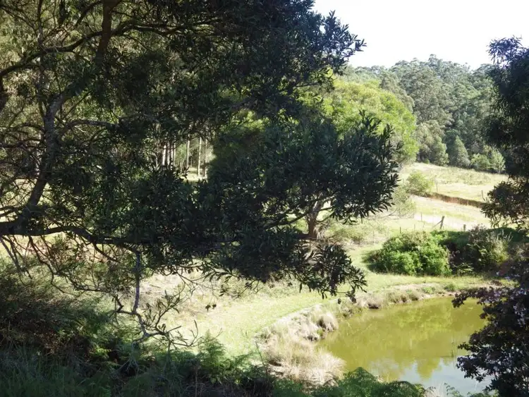 Fourth view of Homely rural property listing, 7732 Armidale - Grafton Road, Billys Creek NSW 2453