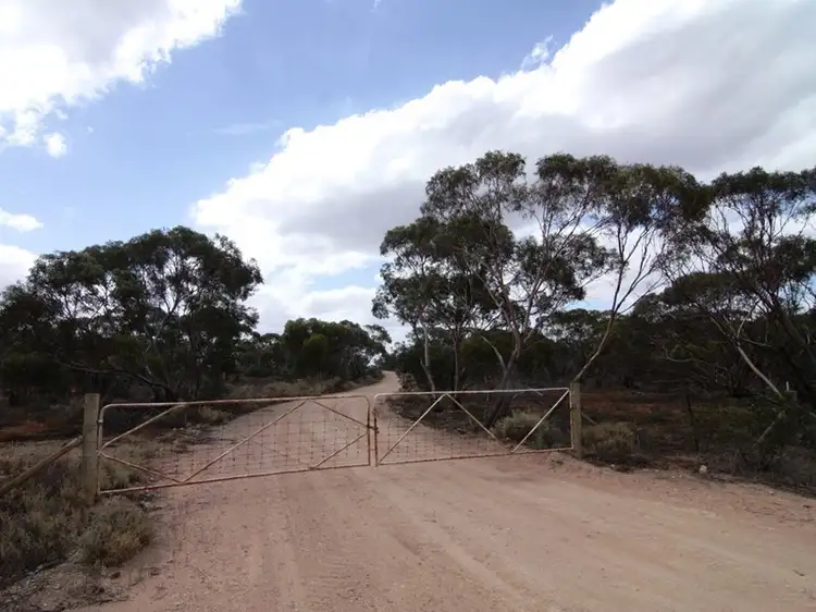 Third view of Homely land listing, 18953 Sturt Highway, Monash SA 5342