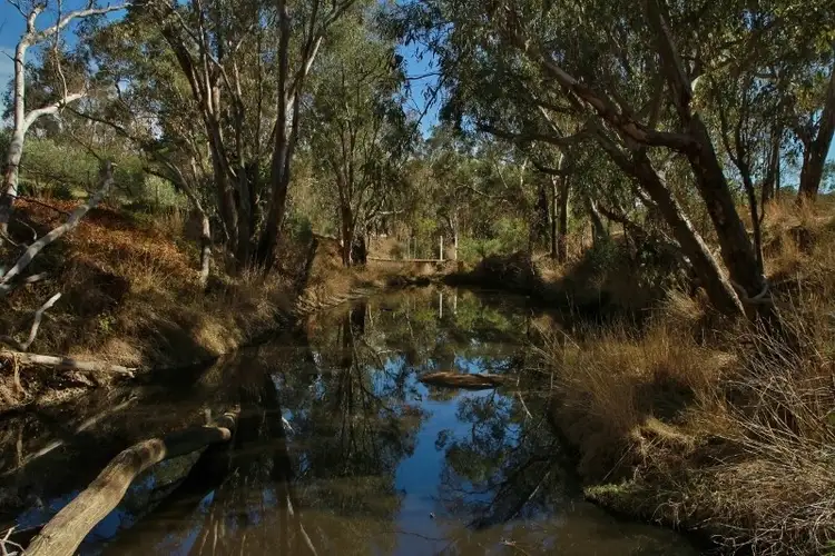 Fourth view of Homely house listing, 655 Spring Flat Road, Heathcote VIC 3523