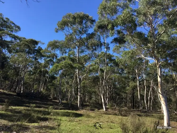 Seventh view of Homely rural property listing, 243 Jacquet Road, Nerriga NSW 2622