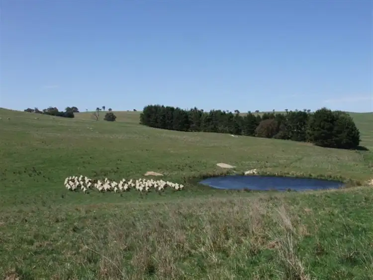 Fifth view of Homely rural property listing, 160 Loudanshand Road, Bathurst NSW 2795