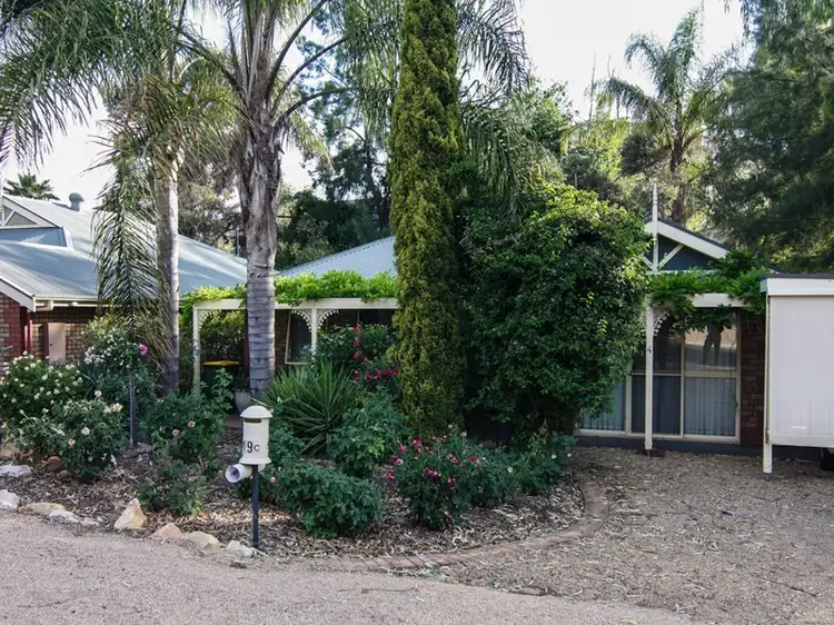 Main view of Homely house listing, 19 C William Street, Loxton SA 5333