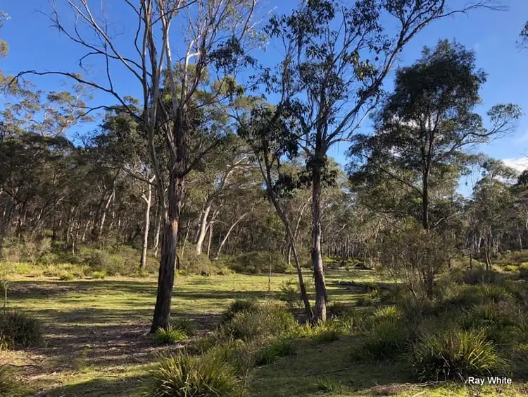 Second view of Homely rural property listing, 98 Kirriford Road, Nerriga NSW 2622