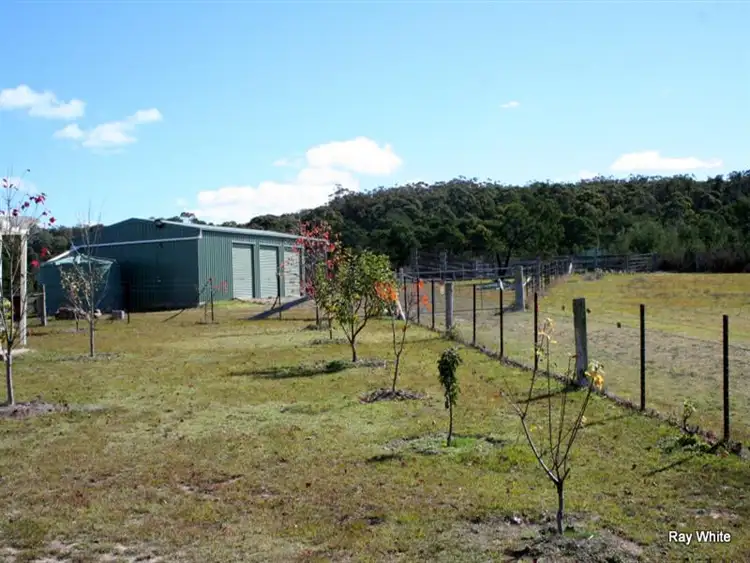 Second view of Homely rural property listing, 647 Back Creek Road, Braidwood NSW 2622