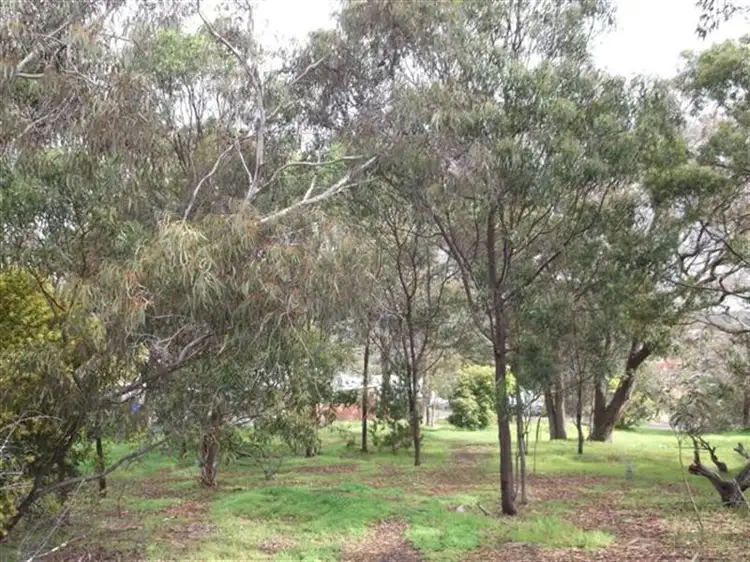 Main view of Homely land listing, 42 Osborne Road, Mount Barker WA 6324