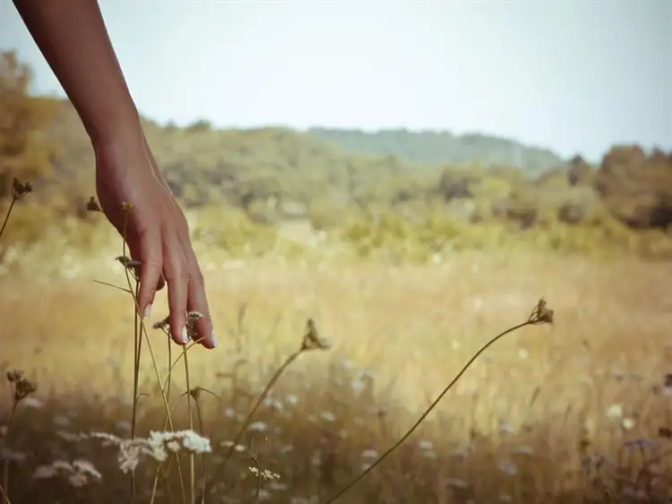 Sixth view of Homely land listing, 323 Cheviot Crescent, Deepdale WA 6532