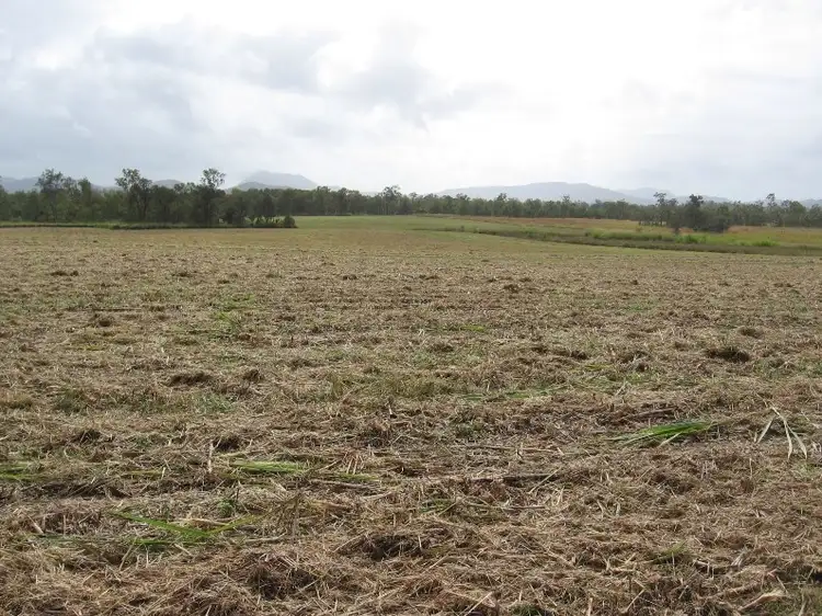 Sixth view of Homely rural property listing, Lot 221 Luscombe Head Road, Septimus QLD 4754