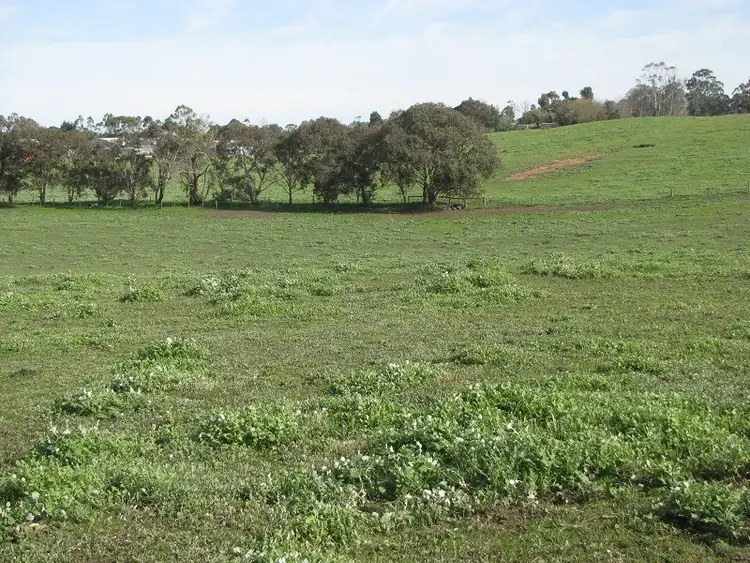 Fourth view of Homely rural property listing, Lot 2 Yahl Main Road, Glenburnie SA 5291