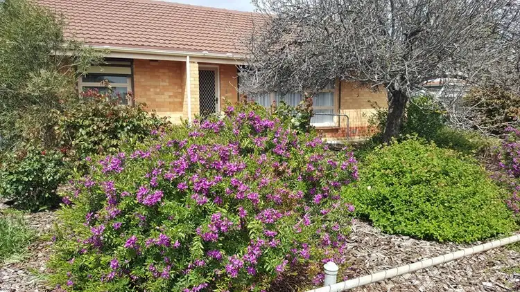 Main view of Homely house listing, 22 Hambridge Road, Davoren Park SA 5113