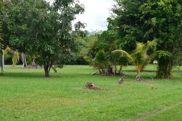 Second view of Homely rural property listing, 44 Dargin Road, Maria Creeks QLD 4855