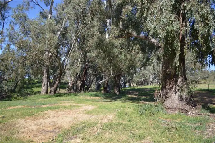Sixth view of Homely rural property listing, 3R Terra Drive, Dubbo NSW 2830