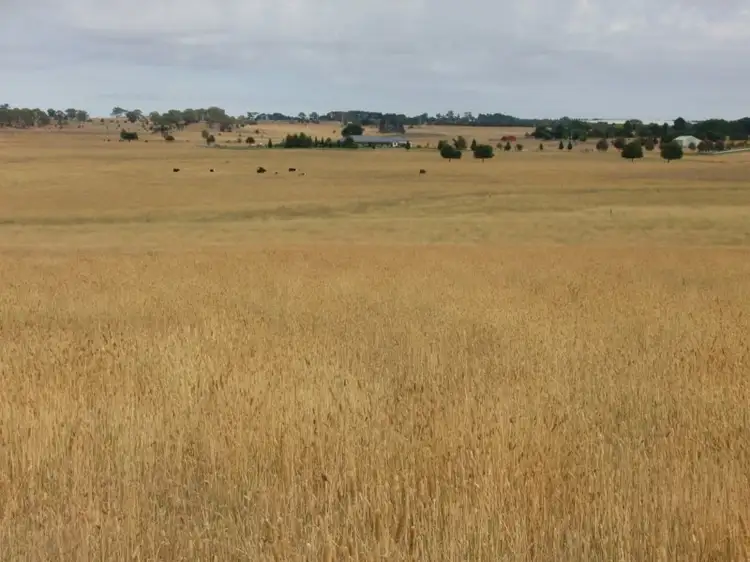 Second view of Homely rural property listing, 627 Vittoria Road, Millthorpe NSW 2798