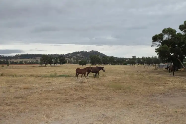 Sixth view of Homely rural property listing, 699 Kamilaroi Highway, Quirindi NSW 2343