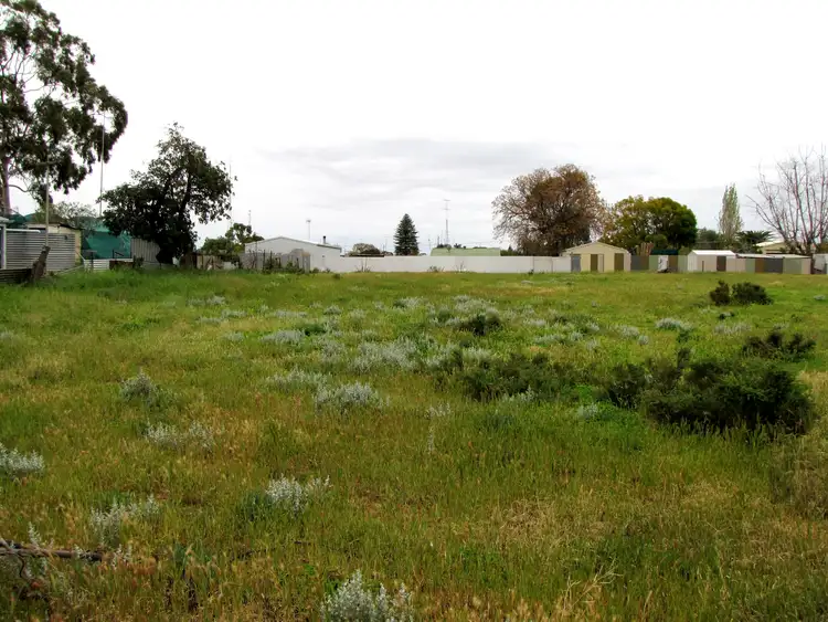 Sixth view of Homely land listing, 17 Muscat Avenue, Berri SA 5343