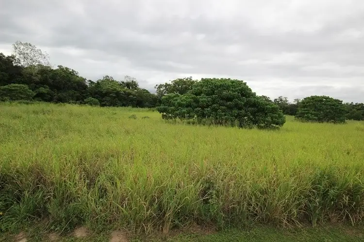 Fourth view of Homely rural property listing, lot 2 Pine Creek Road, East Trinity QLD 4871
