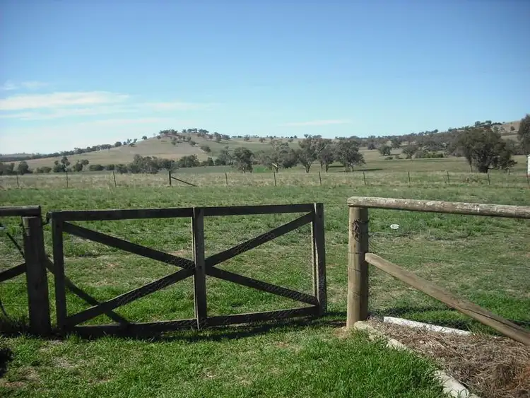 Fifth view of Homely rural property listing, 511 Pine Mount Road, Cowra NSW 2794