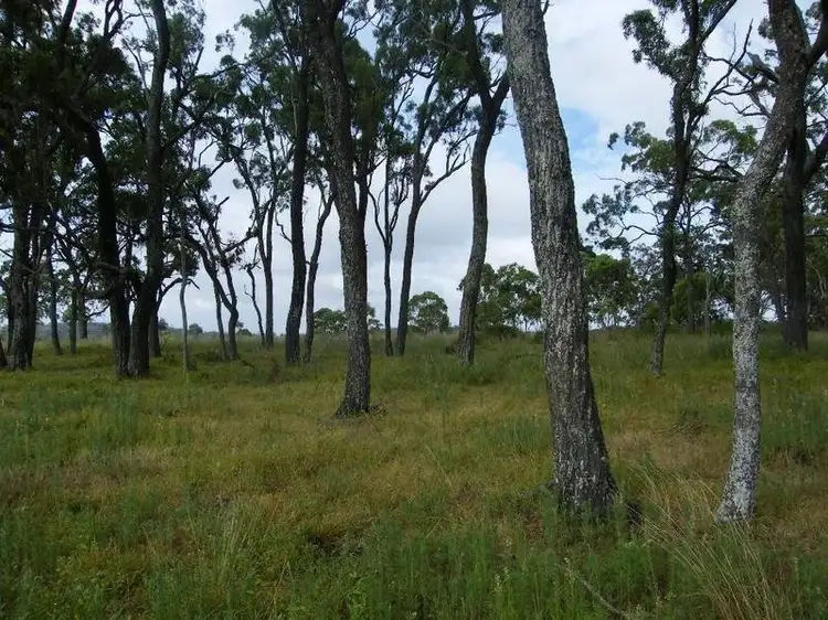 Sixth view of Homely rural property listing, 000 Scherger Road, Thornville QLD 4352
