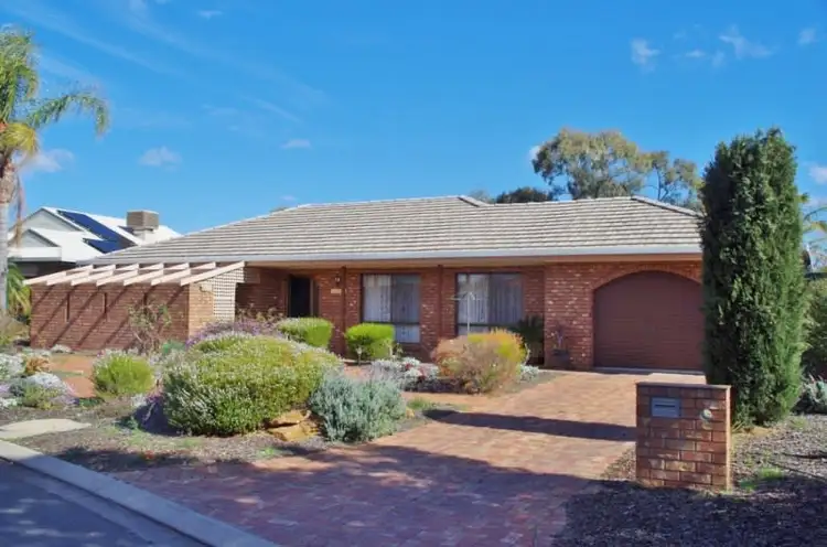 Second view of Homely house listing, 31 Meander Avenue, Renmark SA 5341