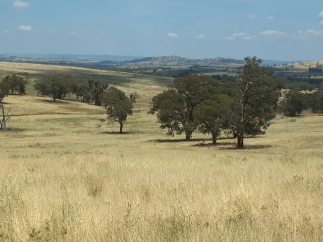 Main view of Homely rural property listing, 1925 Binni Creek Road, Cowra NSW 2794