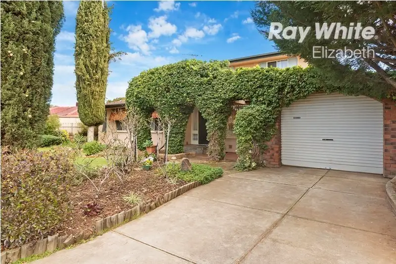 Main view of Homely house listing, 13 Barrington Road, Elizabeth Downs SA 5113