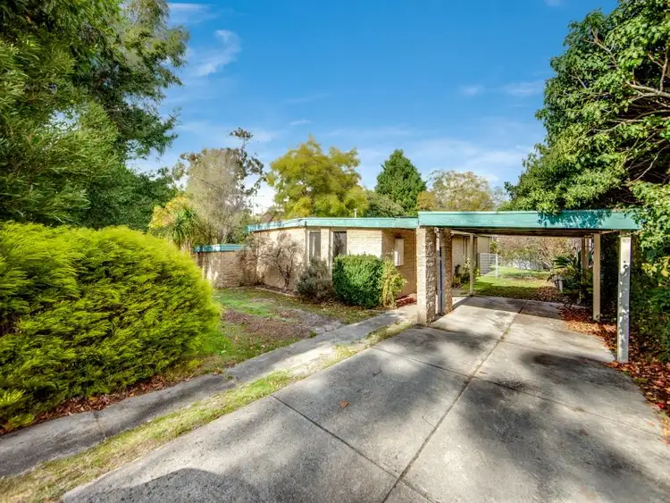 219 Cranbourne Road, Frankston VIC 3199