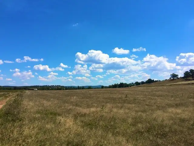 Seventh view of Homely rural property listing, 160-162 Cultowa Road, Cowra NSW 2794