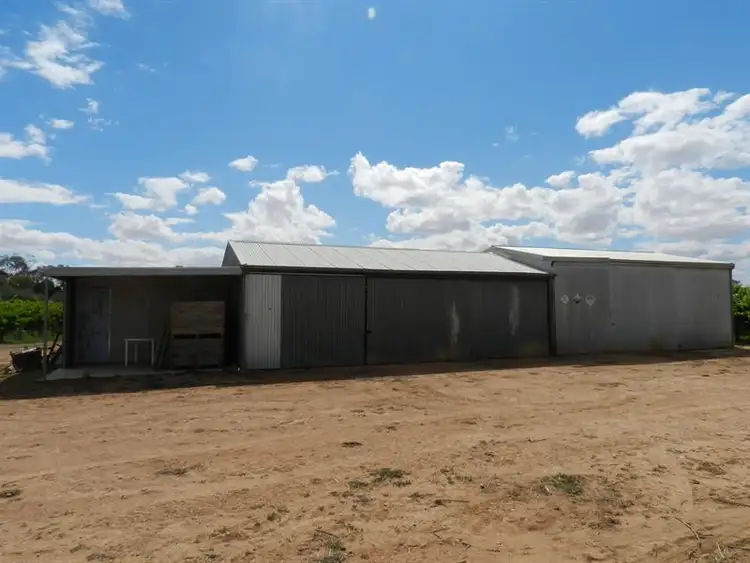 Third view of Homely rural property listing, 57 and 58 Schell Road, Cobdogla SA 5346