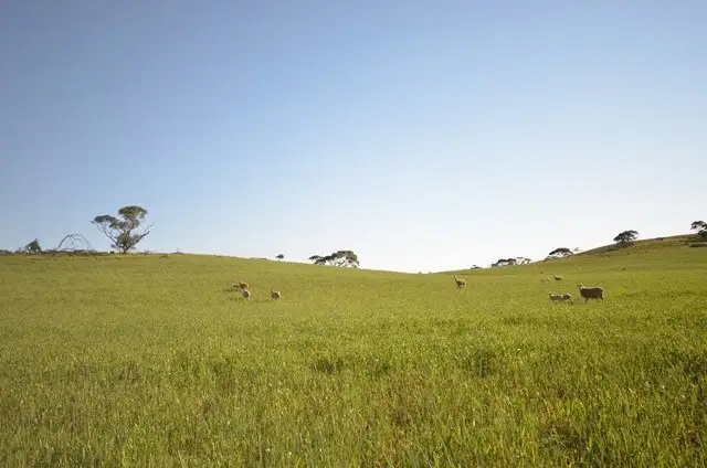 Main view of Homely rural property listing, "Rex's" Worlds End Highway via, Robertstown SA 5381