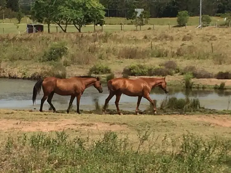 Fifth view of Homely rural property listing, 2 Main Street, Lowood QLD 4311