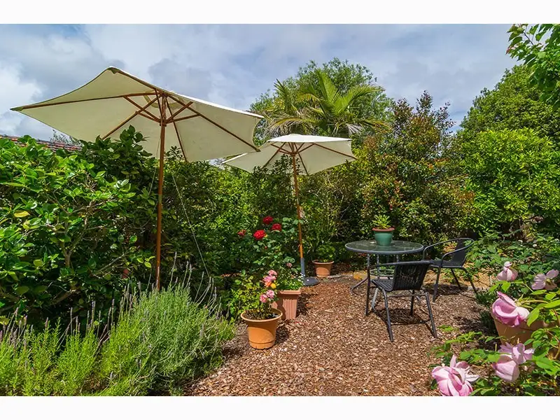 Main view of Homely house listing, 50 Birman Crescent, Flagstaff Hill SA 5159