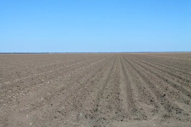 Fifth view of Homely rural property listing, Lot 1 "Ballandool Station" Ballandool Road, Hebel QLD 4486