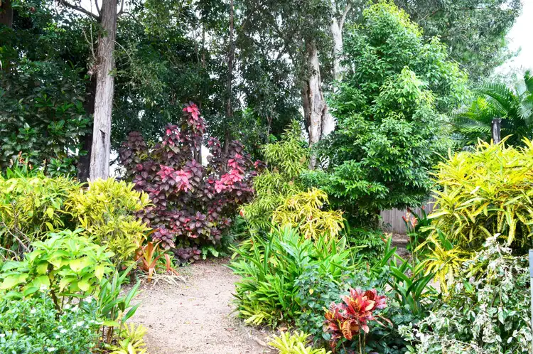 Fourth view of Homely house listing, 24 Kwila Street, Wongaling Beach QLD 4852