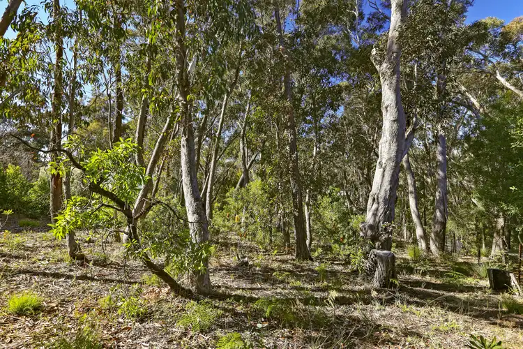 253 Govetts Leap Road, Blackheath NSW 2785