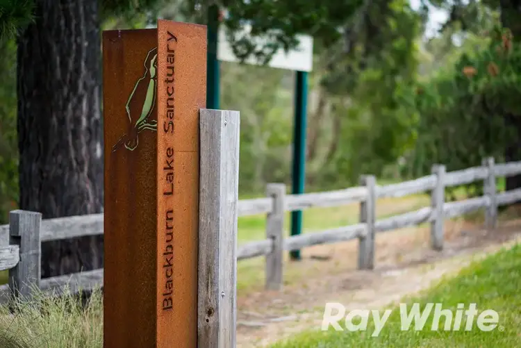 Sixth view of Homely house listing, 15 Sheehans Road, Blackburn VIC 3130