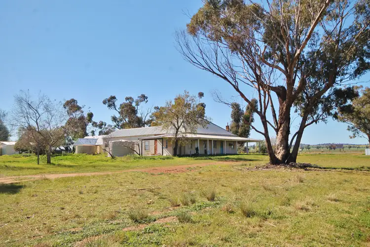1600 Tubbul Road, Tubbul NSW 2594