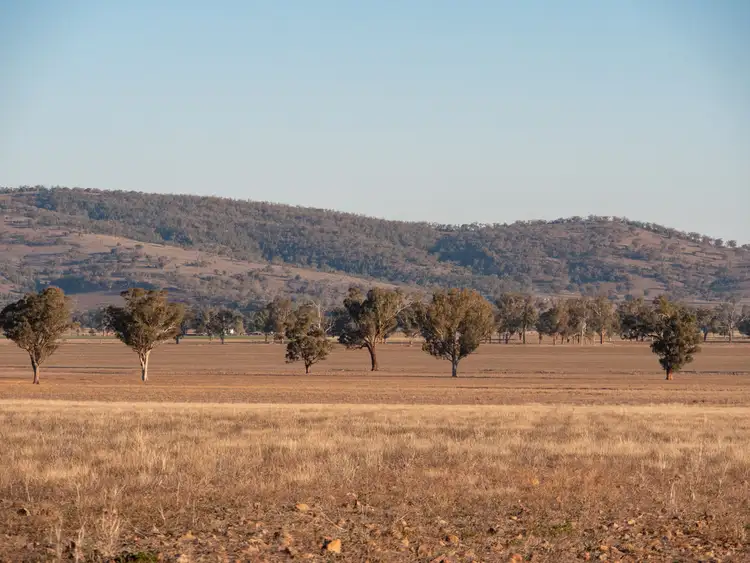 Sixth view of Homely rural property listing, 118 Keechs Road, Currabubula NSW 2342