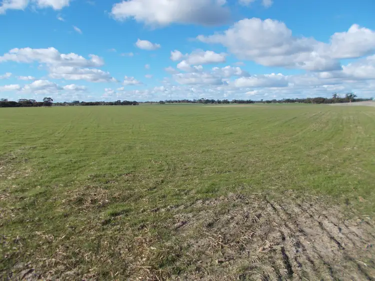 Seventh view of Homely rural property listing, 77 O'Connells Road, Bordertown SA 5268