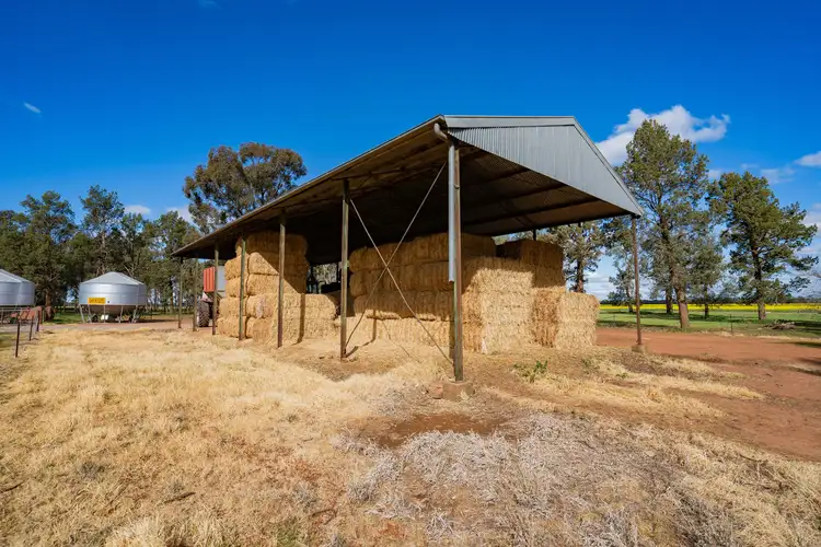 Seventh view of Homely rural property listing, 1292 Lower Middle Road, Ganmain Via, Coolamon NSW 2701