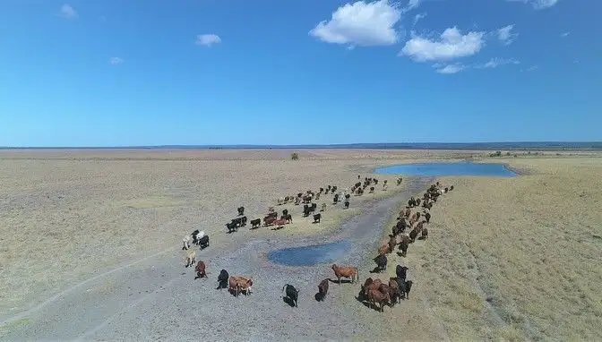 Seventh view of Homely rural property listing, "Karamarra" Karamarra Road, Dingo QLD 4702