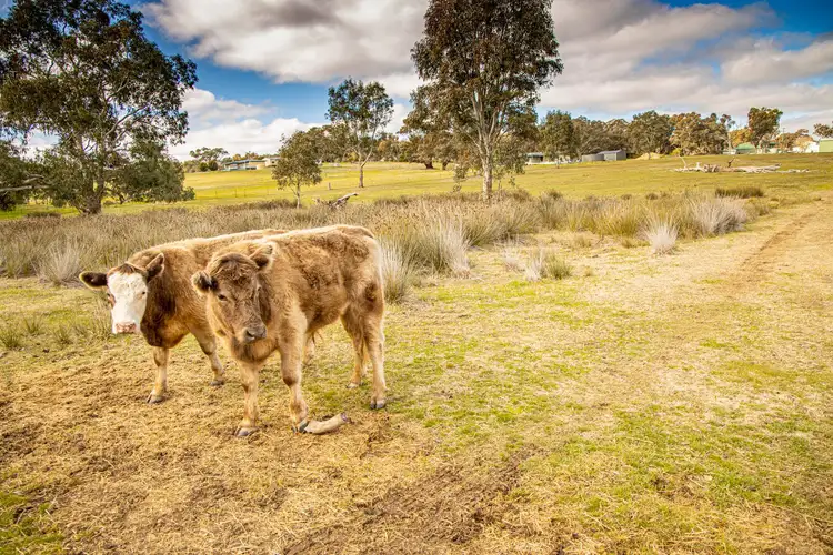 Third view of Homely land listing, 43 Garryowen Road, Binalong NSW 2584