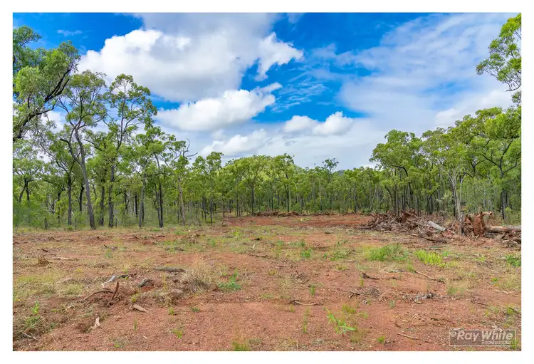 Fifth view of Homely rural property listing, 452 Raspberry Creek Road, Kunwarara QLD 4702