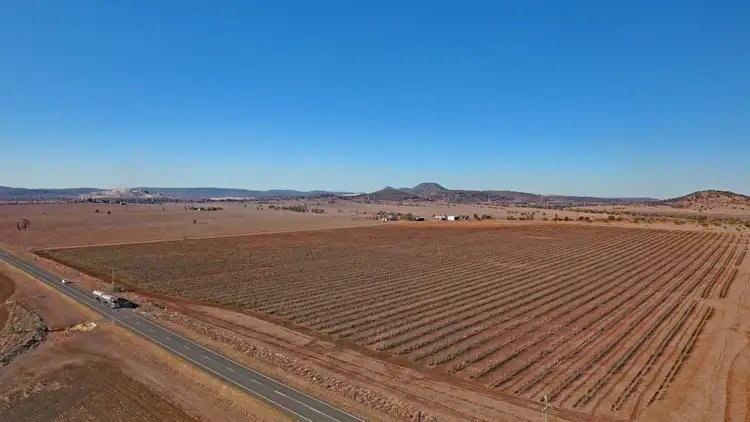 11091 Dawson Highway, Mount Murchison QLD 4715