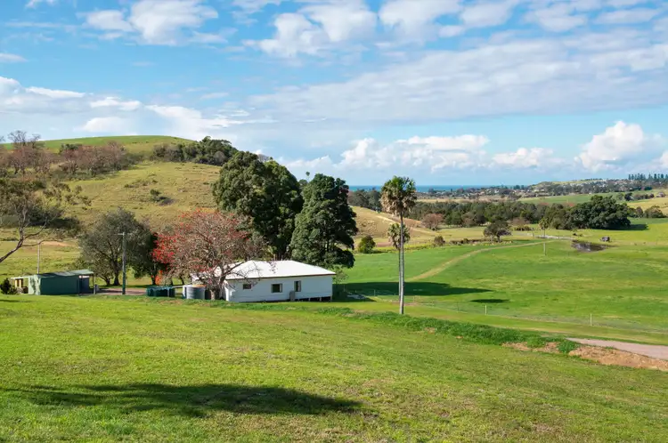 Fourth view of Homely rural property listing, 20 Mitchells Lane, Rose Valley NSW 2534