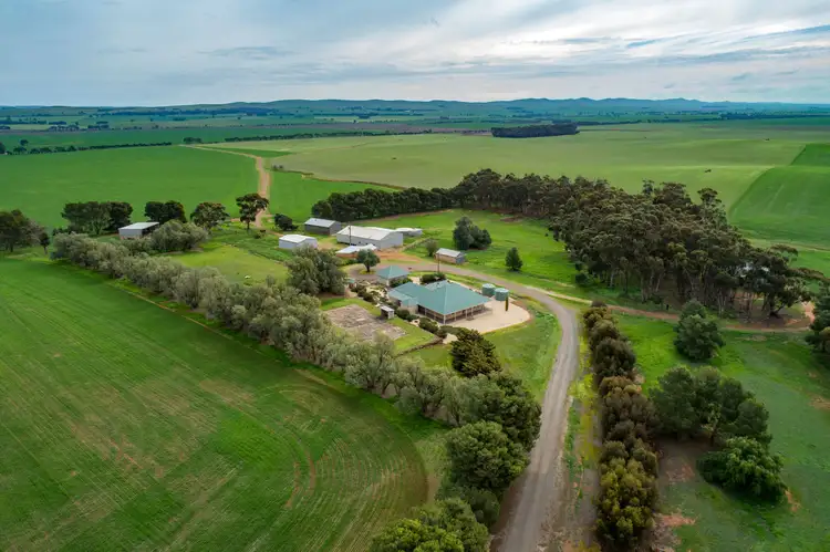 Third view of Homely rural property listing, 'Pine Drive' - 2115 Farrell Flat Road, Farrell Flat SA 5416