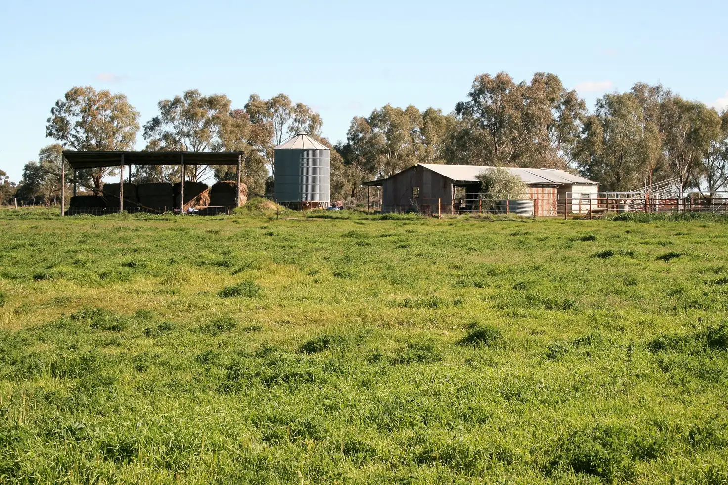 Main view of Homely rural property listing, 00 Minard Lane, Bamawm VIC 3561