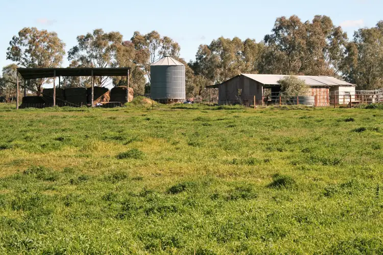 Second view of Homely rural property listing, 00 Minard Lane, Bamawm VIC 3561