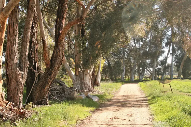 Sixth view of Homely rural property listing, 00 Minard Lane, Bamawm VIC 3561